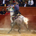 San Luis Potosí (México), viernes 7 de febrero de 2020