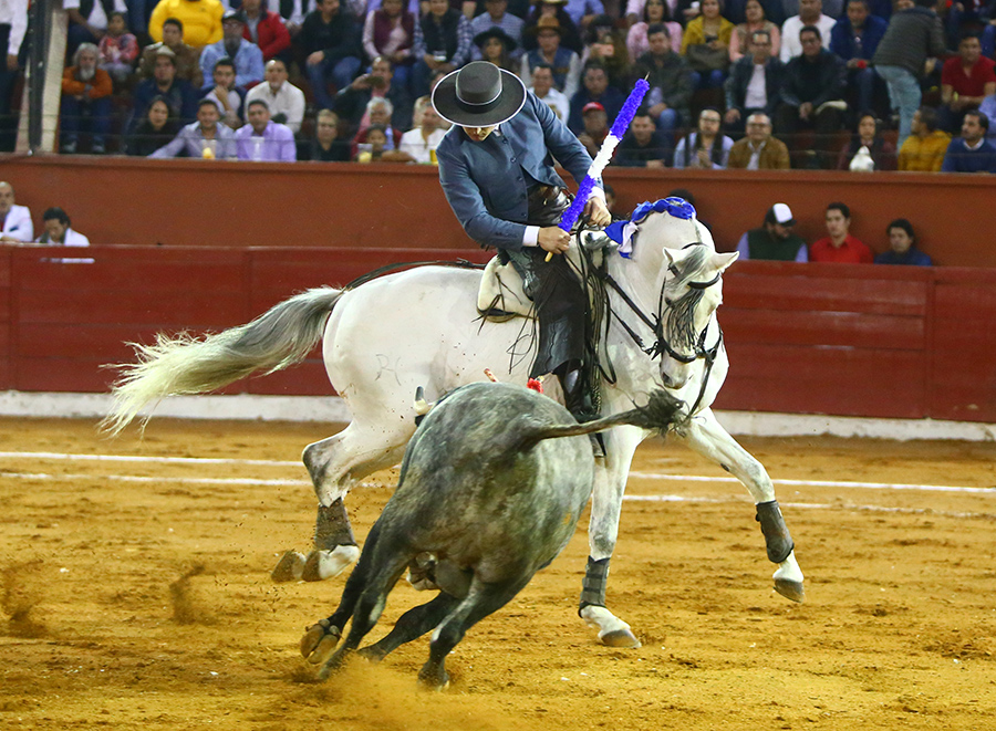San Luis Potosí (México), viernes 7 de febrero de 2020