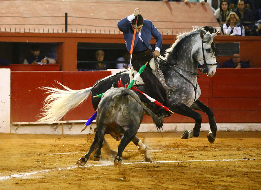 San Luis Potosí (México), viernes 7 de febrero de 2020