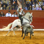 San Luis Potosí (México), viernes 7 de febrero de 2020