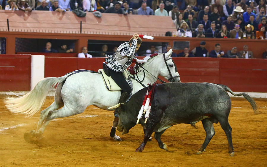 San Luis Potosí (México), viernes 7 de febrero de 2020