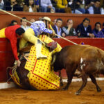 San Luis Potosí (México), viernes 7 de febrero de 2020