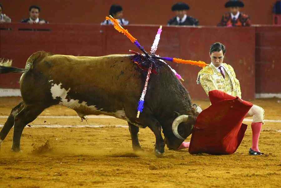 San Luis Potosí (México), viernes 7 de febrero de 2020