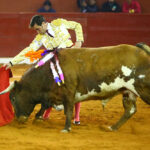 San Luis Potosí (México), viernes 7 de febrero de 2020