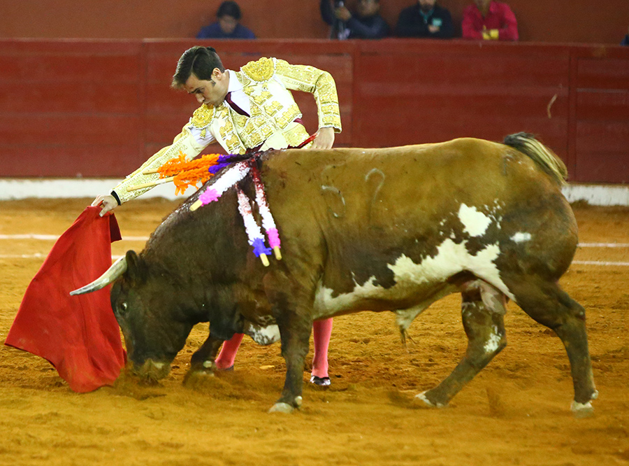 San Luis Potosí (México), viernes 7 de febrero de 2020