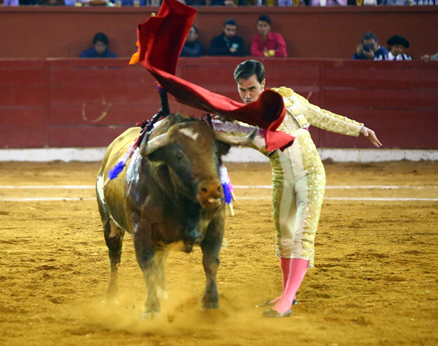 San Luis Potosí (México), viernes 7 de febrero de 2020