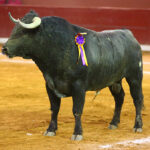 San Luis Potosí (México), viernes 7 de febrero de 2020