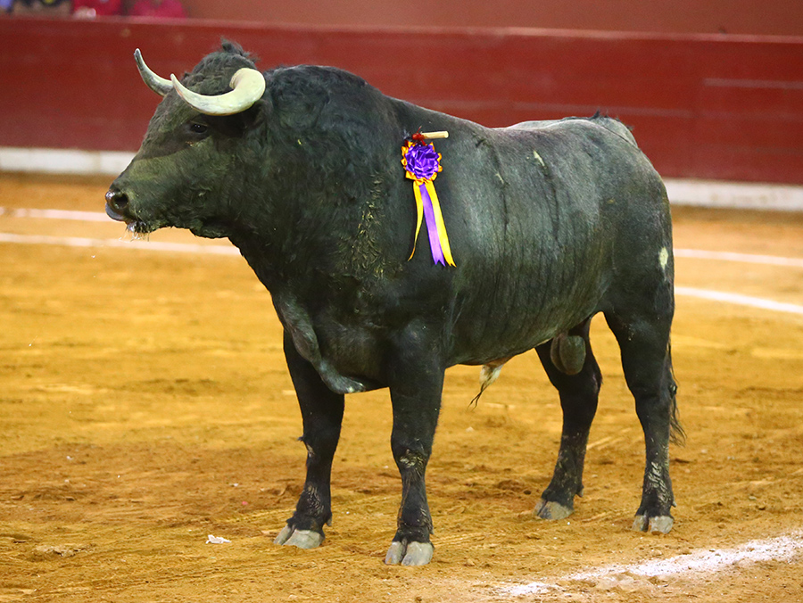 San Luis Potosí (México), viernes 7 de febrero de 2020