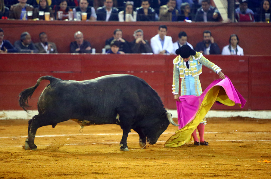 San Luis Potosí (México), viernes 7 de febrero de 2020