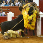 San Luis Potosí (México), viernes 7 de febrero de 2020