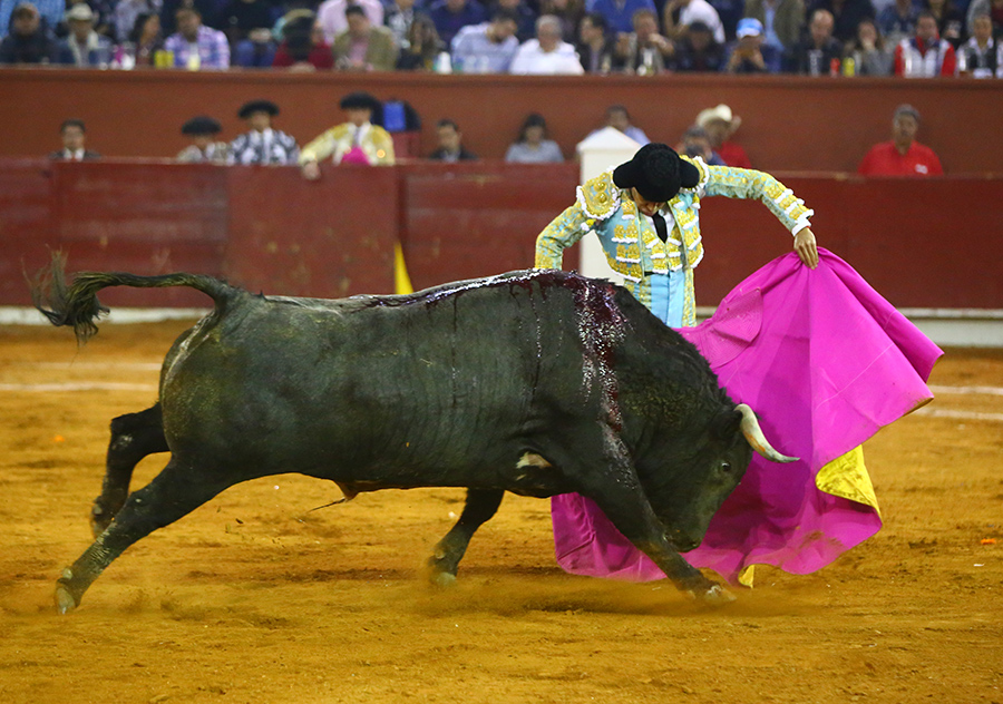 San Luis Potosí (México), viernes 7 de febrero de 2020