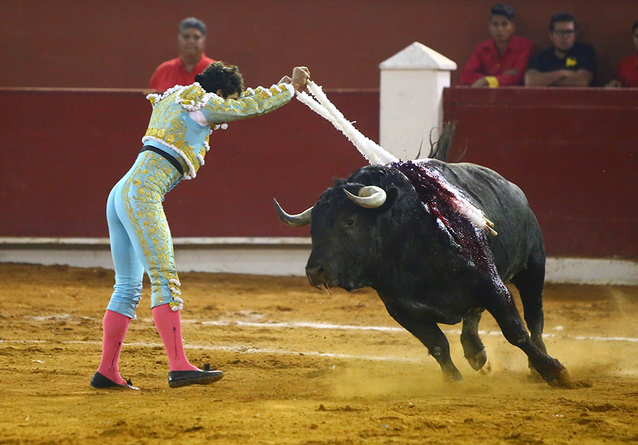 San Luis Potosí (México), viernes 7 de febrero de 2020