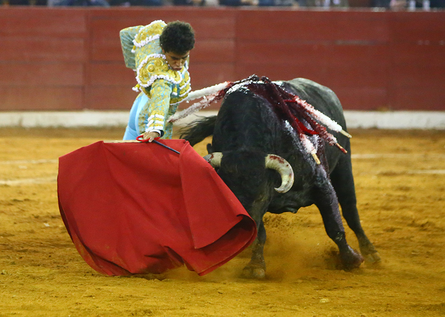 San Luis Potosí (México), viernes 7 de febrero de 2020