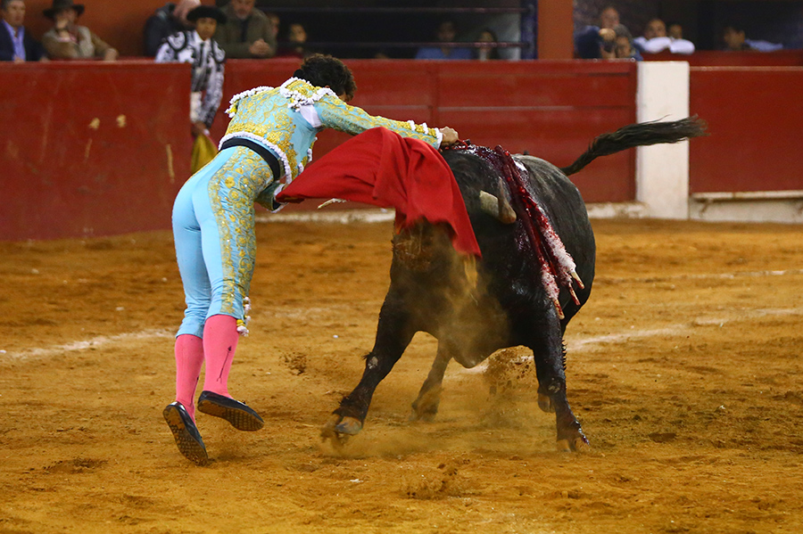 San Luis Potosí (México), viernes 7 de febrero de 2020