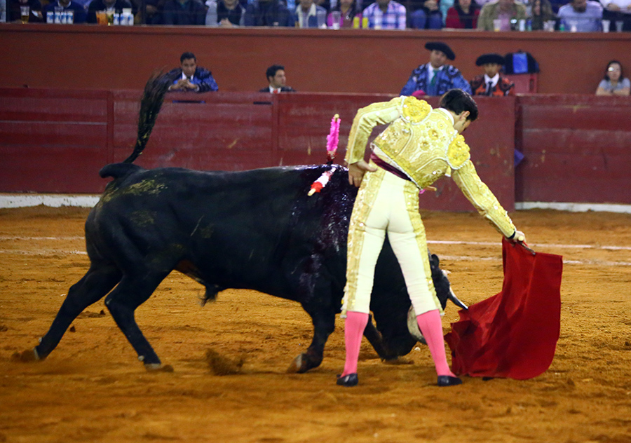 San Luis Potosí (México), viernes 7 de febrero de 2020