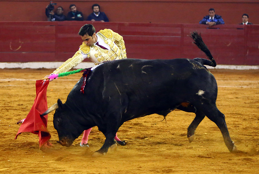 San Luis Potosí (México), viernes 7 de febrero de 2020