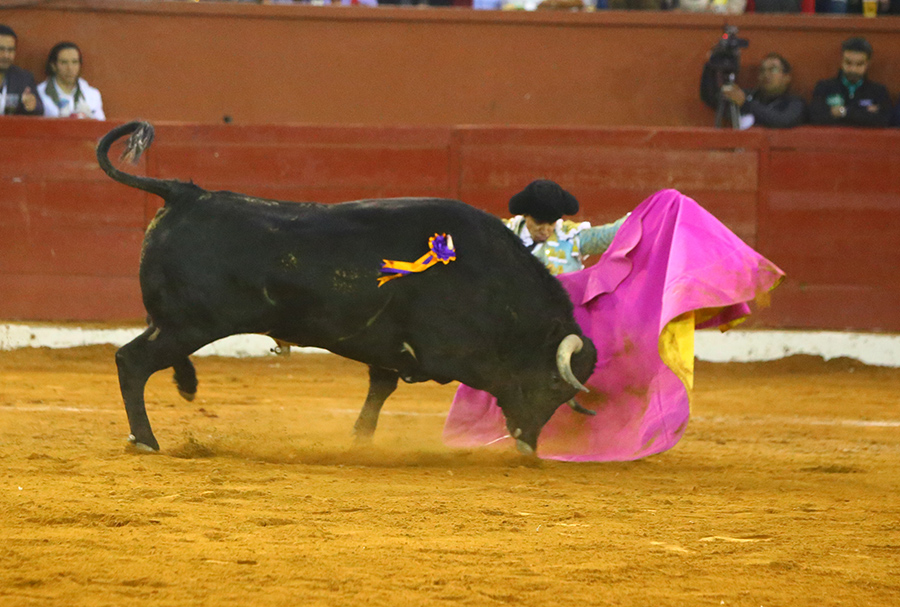 San Luis Potosí (México), viernes 7 de febrero de 2020
