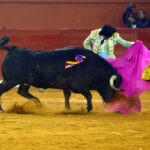 San Luis Potosí (México), viernes 7 de febrero de 2020