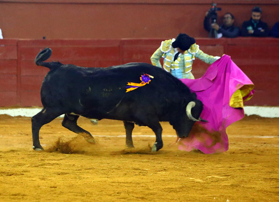 San Luis Potosí (México), viernes 7 de febrero de 2020