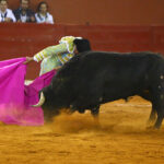 San Luis Potosí (México), viernes 7 de febrero de 2020