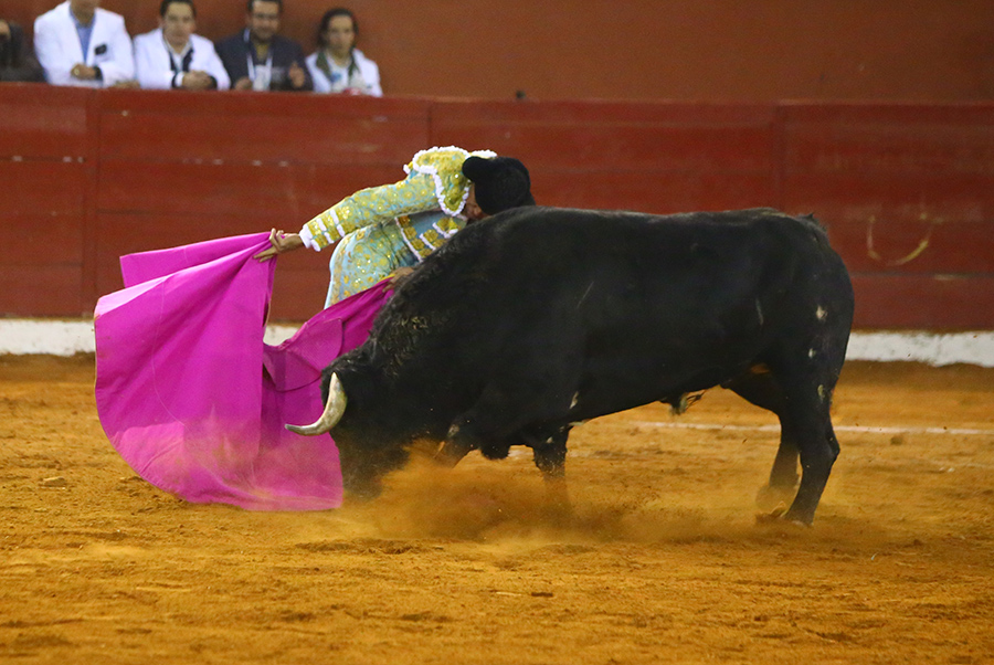 San Luis Potosí (México), viernes 7 de febrero de 2020