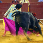 San Luis Potosí (México), viernes 7 de febrero de 2020