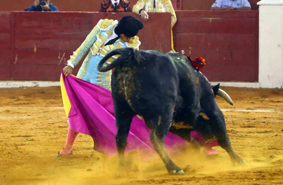 San Luis Potosí (México), viernes 7 de febrero de 2020