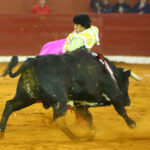 San Luis Potosí (México), viernes 7 de febrero de 2020