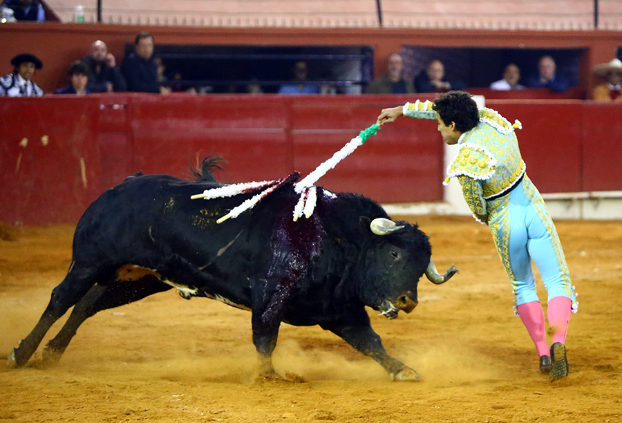 San Luis Potosí (México), viernes 7 de febrero de 2020