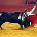 San Luis Potosí (México), viernes 7 de febrero de 2020