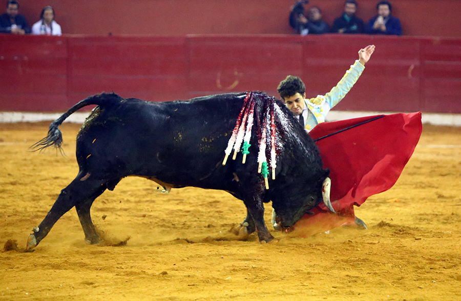 San Luis Potosí (México), viernes 7 de febrero de 2020
