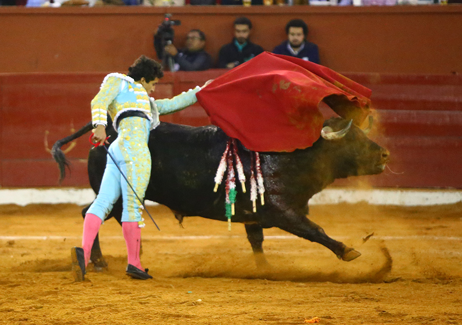 San Luis Potosí (México), viernes 7 de febrero de 2020