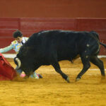 San Luis Potosí (México), viernes 7 de febrero de 2020