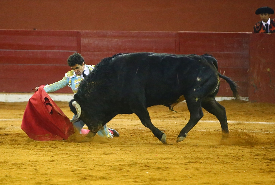 San Luis Potosí (México), viernes 7 de febrero de 2020