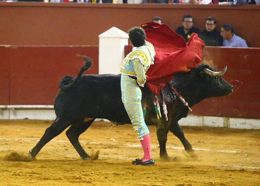 San Luis Potosí (México), viernes 7 de febrero de 2020