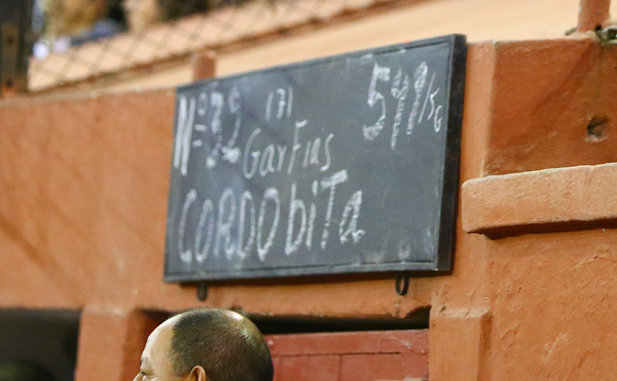 San Luis Potosí (México), viernes 7 de febrero de 2020