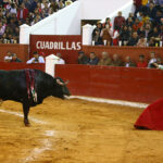 San Luis Potosí (México), viernes 7 de febrero de 2020