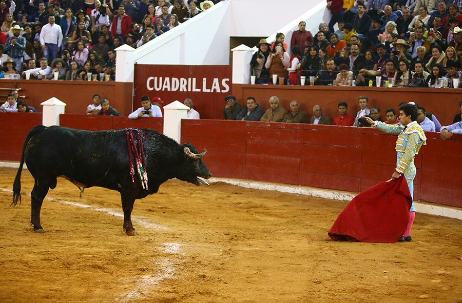 San Luis Potosí (México), viernes 7 de febrero de 2020
