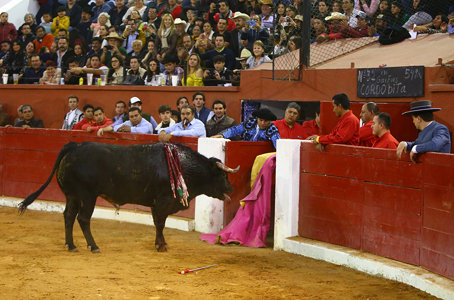 San Luis Potosí (México), viernes 7 de febrero de 2020
