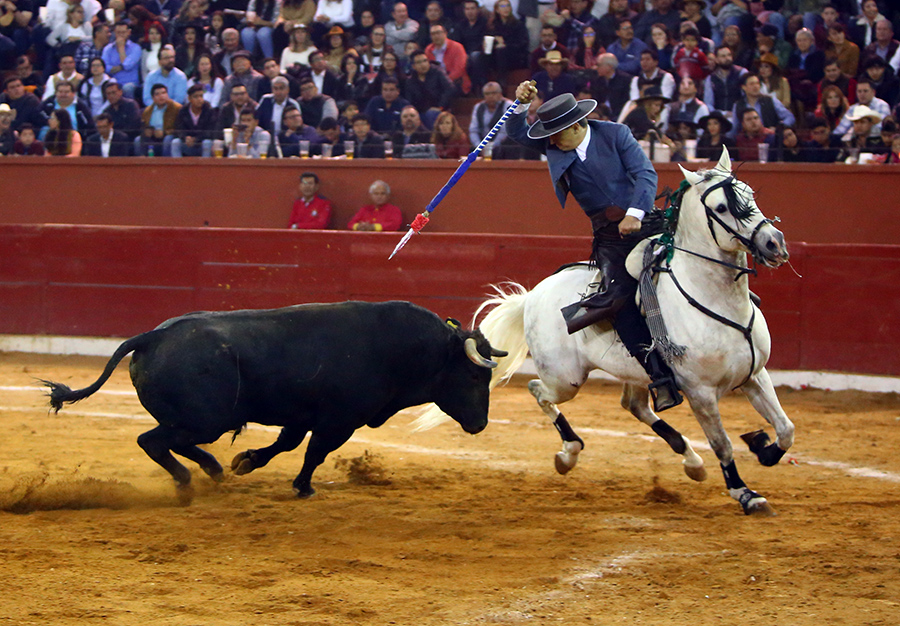 San Luis Potosí (México), viernes 7 de febrero de 2020