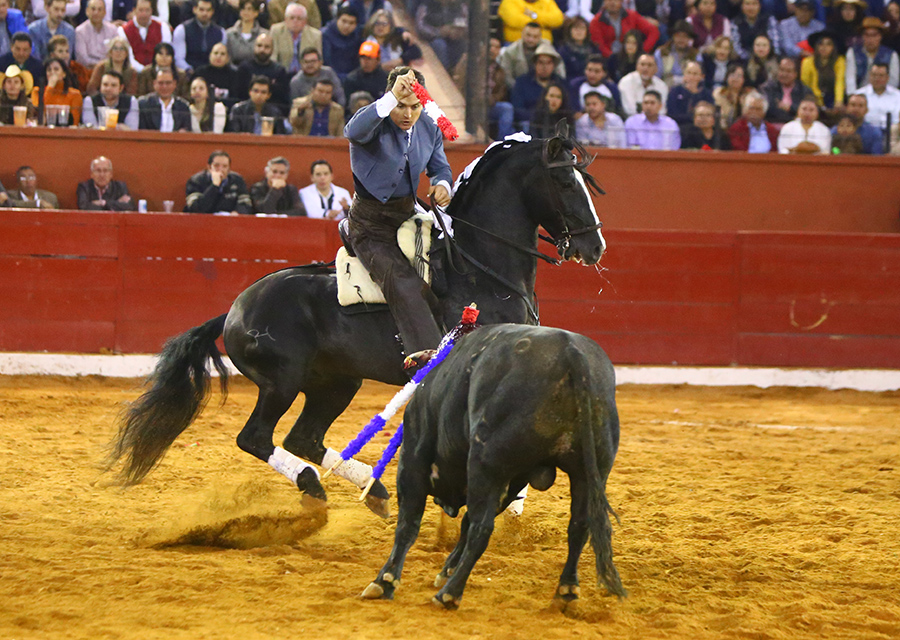 San Luis Potosí (México), viernes 7 de febrero de 2020