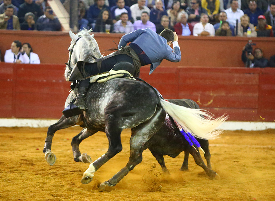 San Luis Potosí (México), viernes 7 de febrero de 2020