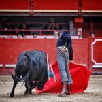 Aranda de Duero, sábado 29 de febrero de 2020