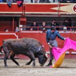 Aranda de Duero, sábado 29 de febrero de 2020