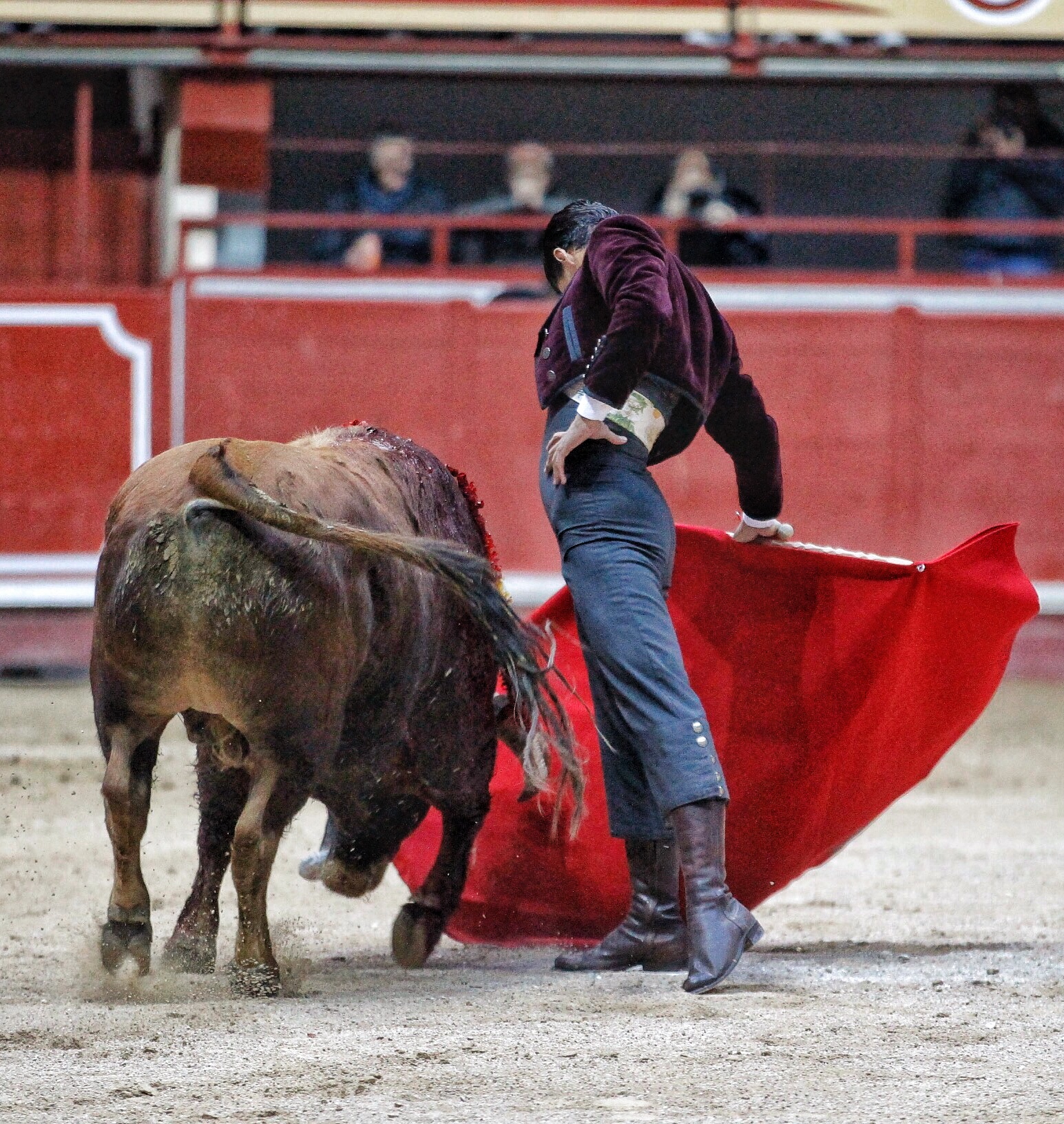 Aranda de Duero, sábado 29 de febrero de 2020