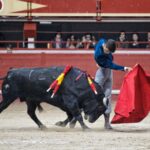 Aranda de Duero, sábado 29 de febrero de 2020