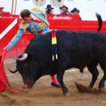 Autlán de la Grana (México), sábado 22 de febrero de 2020