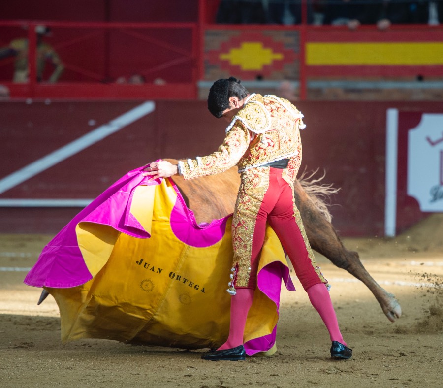Valdemorillo, sábado 8 de febrero de 2020