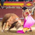 Valdemorillo, sábado 8 de febrero de 2020