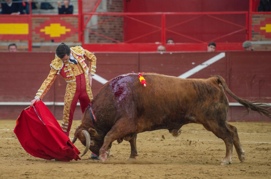 Valdemorillo, sábado 8 de febrero de 2020